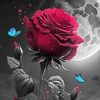 fani_dunya88
