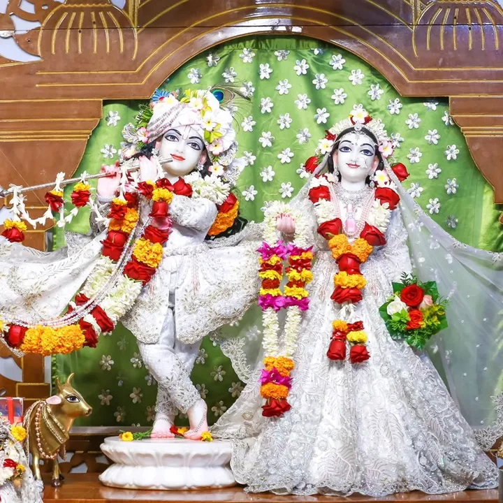 satya.walem