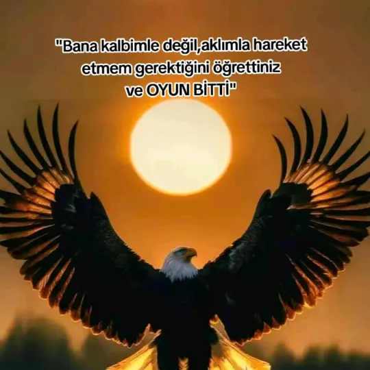 @devrimdeniz161