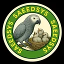 @saeedsys