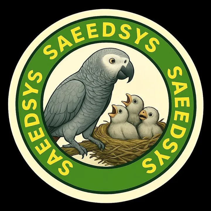 @saeedsys