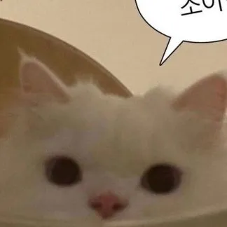 happy_yujin