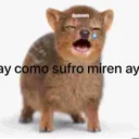 @aycomosufromirenay67