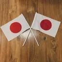 @midolifevolley