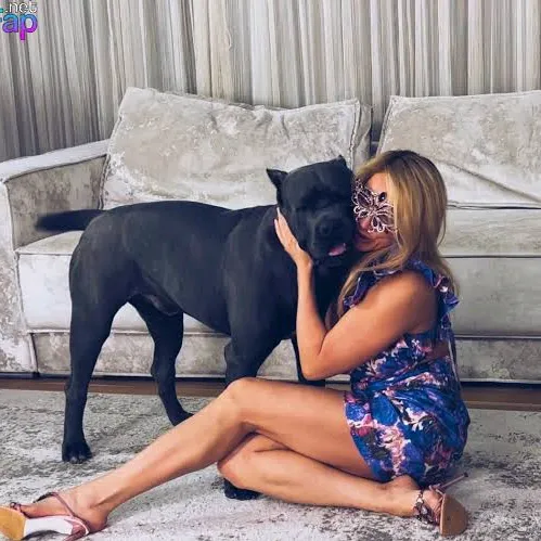k9lady.dogs