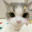 @taeraegf_