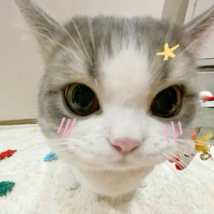 @taeraegf_