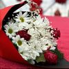 serceningozyasi_official