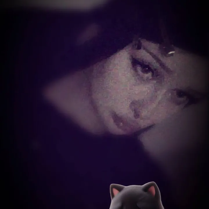 @sestratrava