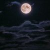 writer_scarr