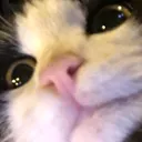 @jasmine__2k9