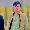 shinwari5172