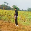 mg.zwe905