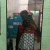 johnreyesteban24