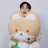 ysbbh617