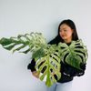 plantlife50
