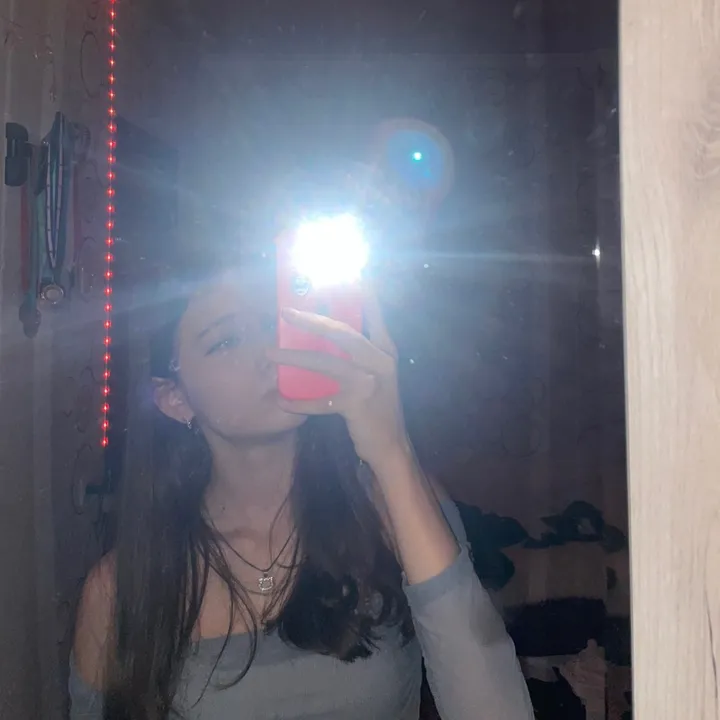 @viks.ws1