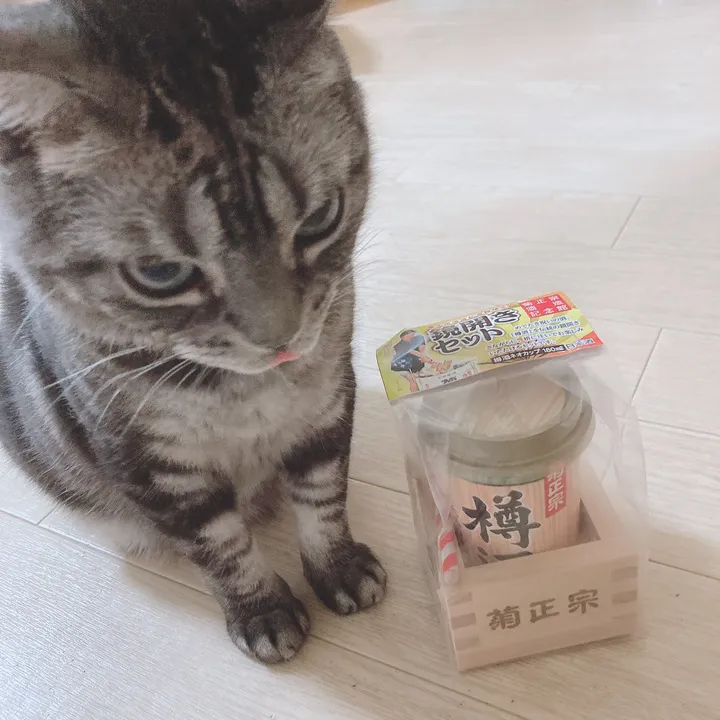 @miwako.miwayukimiyu
