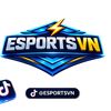 ffesuportsvn