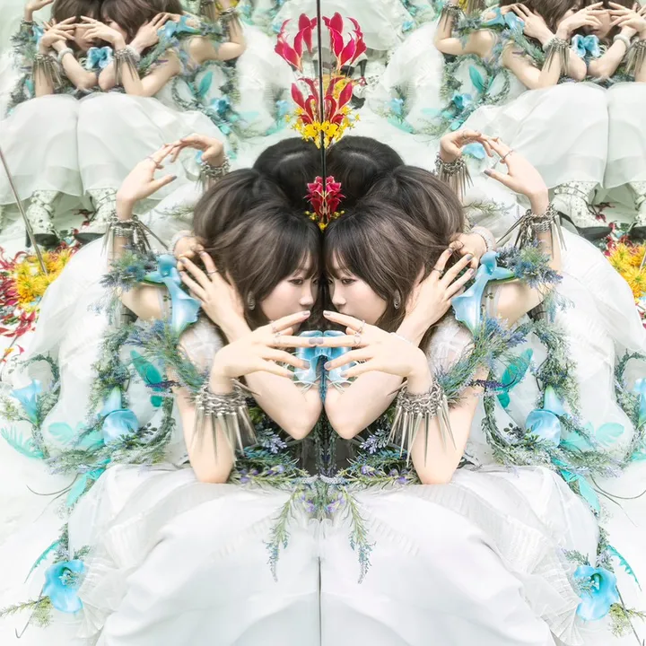 aimer.official_