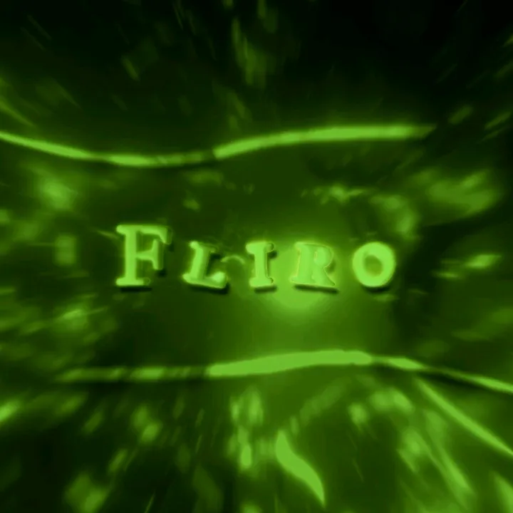 @fliro.vs