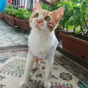 @yildiz_rizeli