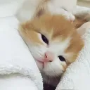 @_anhthuwu._