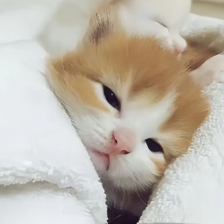 @_anhthuwu._