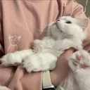 @qxx337