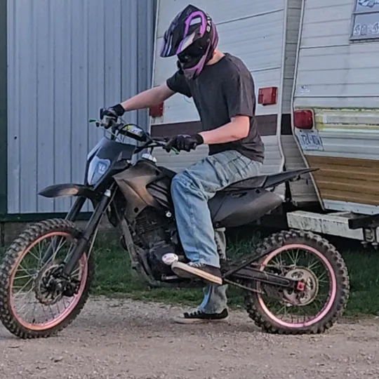 leviv261