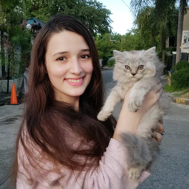@hurimeow