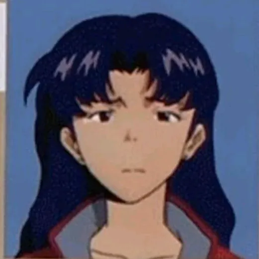 misato193