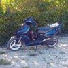 vedo.lifan