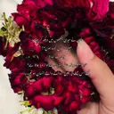 @jaanejan1
