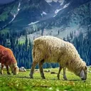 @pakistan_____beauty