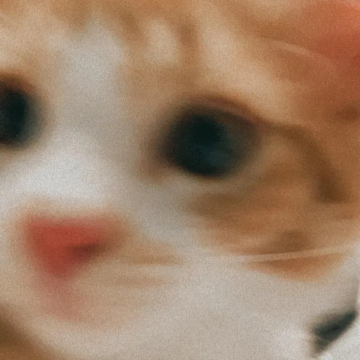 nomnomtrio