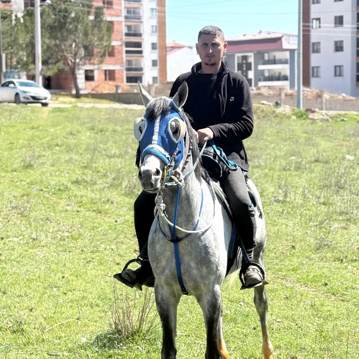 huseyin_cibir.03