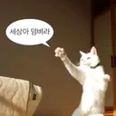 @user6282472391994