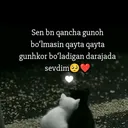 @aisham_aliyim