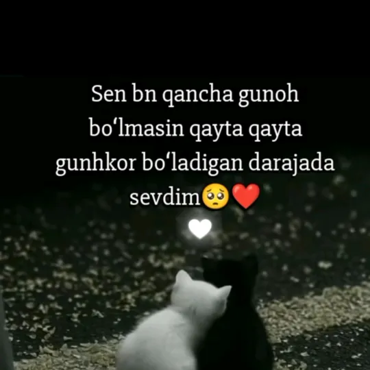 aisham_aliyim