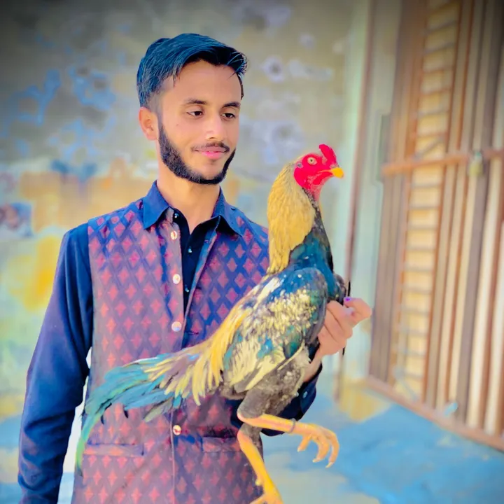 @usmanaseel4
