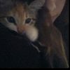 alinka_06026