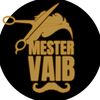mestervaib4