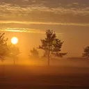 @nyarkendu72