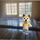 @fxcj7