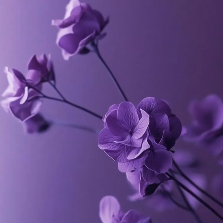 tipsyclaws__willow