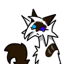 @anel5catt