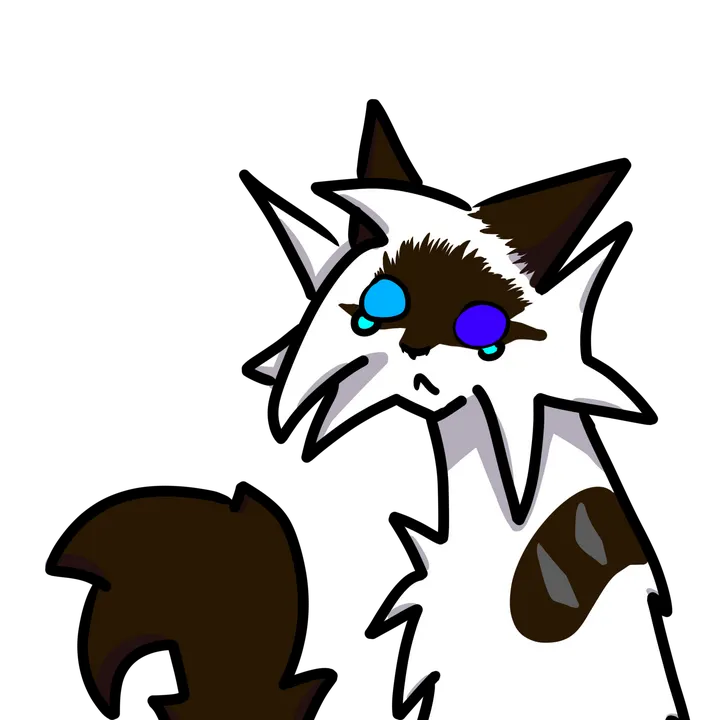 @anel5catt