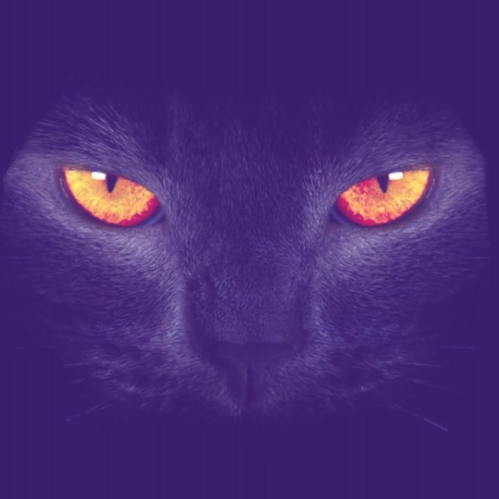 🪻🦋 - original sound