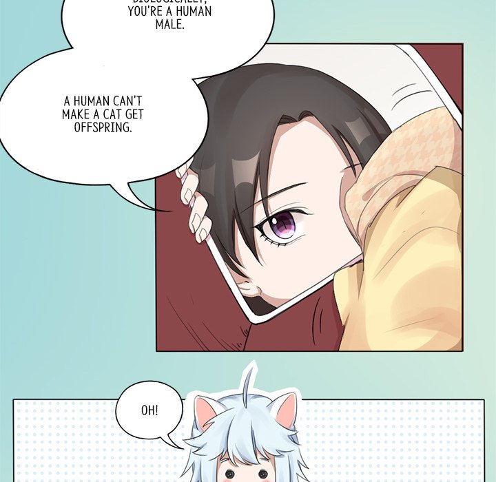 My New Pet Cat - episode 17 - 12